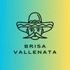 About Brisa Vallenata Song