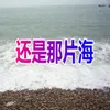 About 还是那片海 Song