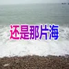 还是那片海