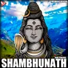 About Shambhunath Song