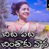 About Chita Pata Chinthaku Vana Song