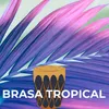 About Brasa Tropical Song