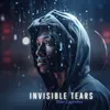 About Invisible Tears Song