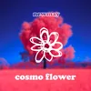 About cosmo flower Song