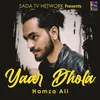 About Yaar Dhola Song