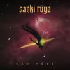 About Sanki Rüya Song