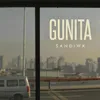 Gunita