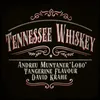 About Tennessee Whiskey Song