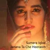 About Janana Ta Che Heeraom Song