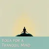 Mindful Yoga Flow for Inner Peace