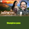 About Dhangiree pana Song