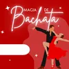 Magia de Bachata