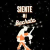 About Siente mi Bachata Song