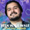 About Seen Wale Wale Song