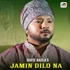 About Jamin DIlo Na Song