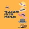 About Vallenato Fiesta Estelar Song