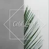 About Cold Light Song