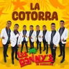 About La Cotorra Song