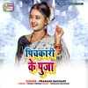 About Pichkari Ke Puja Song