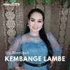 Kembange Lambe