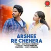 About Arshee Re Chehera Song