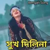 About Sukh Dili Na Song