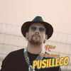 About Pusilleco Song