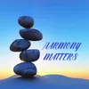 Harmony Matters