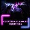 About Gozando en la noche bachatera Song