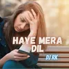 About Haye Mera Dil Song