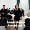 About Precinu nr.1 Song