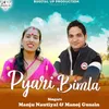 About Pyari Bimla Song