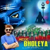 About Mere Bholeya Song