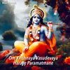 About Om Krishnaya Vasudevaya Haraye Paramatmane Song