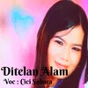 About Ditelan Alam Song