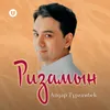 About Ризамын мен Song