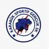 About KARABÜK SPORTİF GENÇLİK SK Song