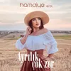 About Ayrılık Çok Zor Song