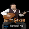 Hamarat Kız