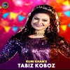 About Tabiz koboz Song