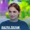 About Kaliya Zulfan Song