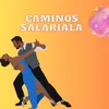 About Caminos salariala Song