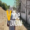 About VIBE Song