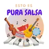 About Esto es pura salsa Song