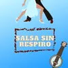 About Salsa sin respiro Song