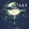 About 那一夜星月 Song