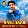 About Nasli Yaar Song