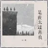 About 是我太过善良 Song