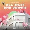 About All That She Wants Song