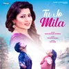 About Tu Jo Mila Song